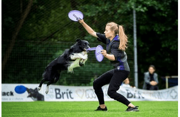 AMINELA FRISBEE FASTBACK CLASSIC PURPLE