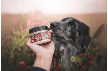 MARP HOLISTIC - PIVOVARSKÉ KVASNICE 100G