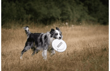 AMINELA FRISBEE FASTBACK CLASSIC WHITE