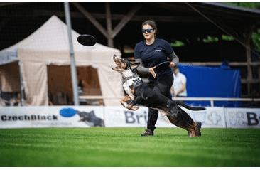 AMINELA FRISBEE FASTBACK CLASSIC BLACK