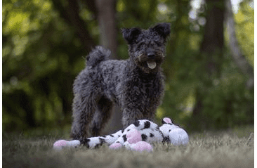 HRAČKA MULTIPET SWINGIN SLEVINS KRÁVA PLYŠ 67 CM