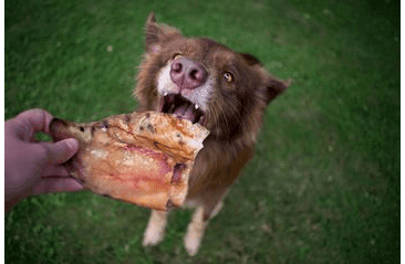 DOXNEO BRAVČOVÉ UCHO 5KS