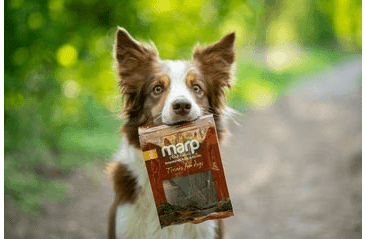MARP HOLISTIC - SUŠENÉ MÄSO Z DIVINY 40G