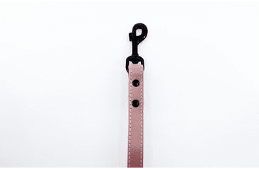 KOŽENÉ VODÍTKO HERRY, ČIERNE KOVANIE - RUŽOVÁ