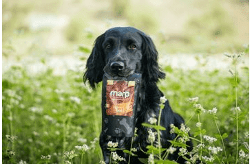 MARP JAHŇACÍ VÝVAR 230ML