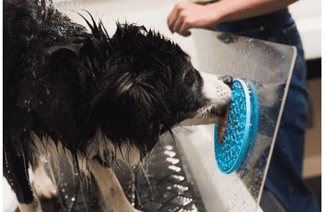 AMARAGO LÍZACIA PODLOŽKA KRUH MODRÝ