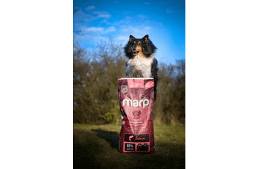 MARP HOLISTIC SALMON - LOSOSOVEJ BEZ OBILNÍN 12KG