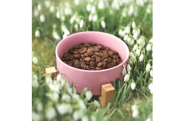 AMINELA KERAMICKÁ MISKA V DREVENOM STOJANE - RUŽOVÁ 750ML