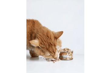 MARP HOLISTIC PLUS KONZERVA PRE MAČKY – KURACIE PATÉ S KREVETAMI 70G