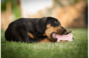 AMARAGO ECO FRIENDLY HRAČKA PRE PSOV KOSŤ MALÁ RUŽOVÁ, 13CM/70G