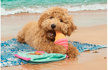 FARM COMPANY CHLADIACA PODLOŽKA MAIOLICHE M 50X40 CM