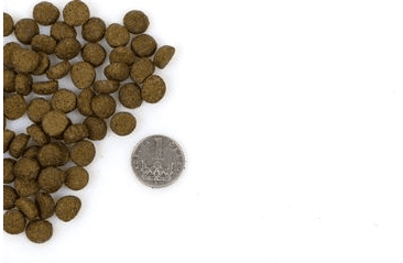 MARP HOLISTIC INDOOR CAT - PRE DOSPELÉ A STARŠIE MAČKY VZORKA 70G