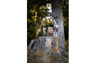 MARP HOLISTIC CHICKEN - KURACIE BEZ OBILNÍN 2KG