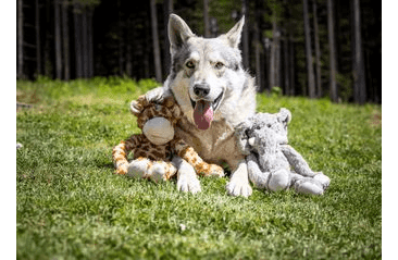 HRAČKA MULTIPET SWINGIN SAFARI SLON PLYŠ 48 CM