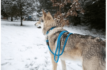 AMINELA LANOVÉ PREDLŽOVACÍ VODÍTKO 12MM/270CM MODRÉ