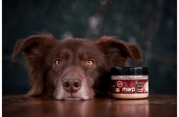 MARP HOLISTIC - PIVOVARSKÉ KVASNICE 100G