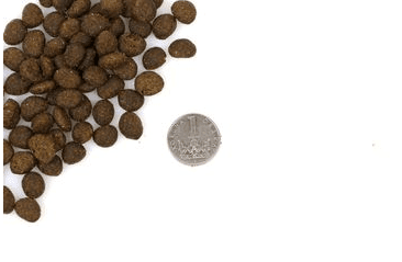 MARP HOLISTIC SALMON CAT -  LOSOSOVÉ BEZ OBILNÍN PRE MAČKY 4KG