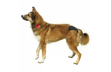 NOBBY DE LUXE 1 HÁRACIE NOHAVIČKY 24-31CM