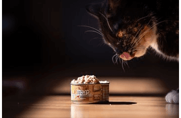 MARP HOLISTIC PLUS KONZERVA PRE MAČKY – KURACIE PATÉ S HOVÄDZÍMI KÚSKAMI 24X70G