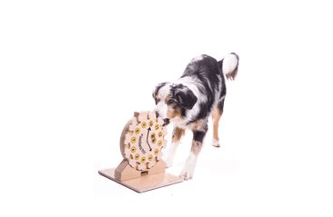 DREVENÝ HLAVOLAM CLOCK