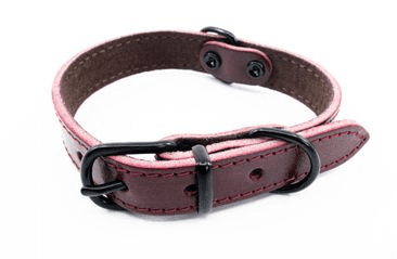 KOŽENÝ OBOJEK ARGUS, ČERNÉ KOVÁNÍ - BORDÓ