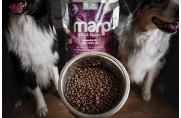 MARP HOLISTIC WHITE MIX SB - PRE MALÉ PLEMENÁ BEZ OBILNÍN 12KG