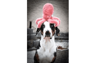 HRAČKA MULTIPET DEEP SEA  KALMÁRE PLYŠ 30 CM