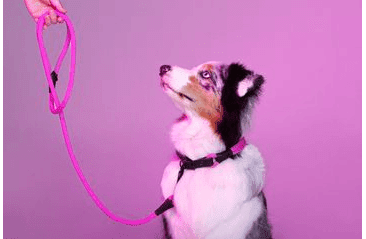 AMINELA FERRATA LANOVÉ VODÍTKO - RUŽOVÁ