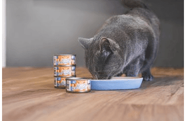 MARP HOLISTIC PLUS KONZERVA PRE MAČKY – TUNIAKOVÉ PATÉ SO SARDINKAMI 24X70G