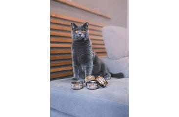 MARP HOLISTIC PLUS KONZERVA PRE MAČKY – TUNIAKOVÉ PATÉ SO SARDINKAMI 24X70G