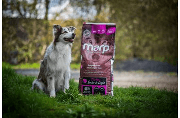 MARP HOLISTIC TURKEY S&L - MORČACIE SENIOR&LIGHT BEZ OBILNÍN 12KG