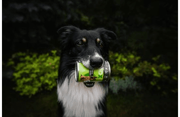 DOXNEO LAMB KONZERVA PRE PSOV S JAHŇACÍM 400G