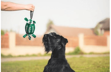 QUAPAS! HRAČKA PRE PSOV RUGBY LOPTA L 22X11CM