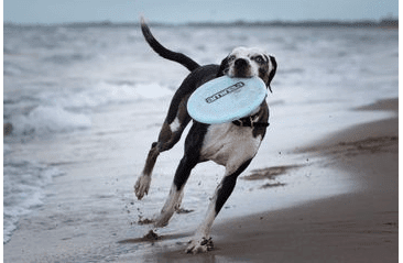 AMINELA FRISBEE FASTBACK FLEX LIGHT BLUE