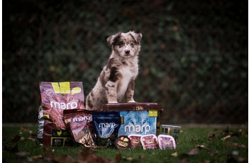 ŠTEŇACÍ BALÍČEK S KRMIVOM 1KS