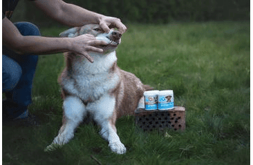 AMINELA OBRÚSKY NA ZUBY 50KS