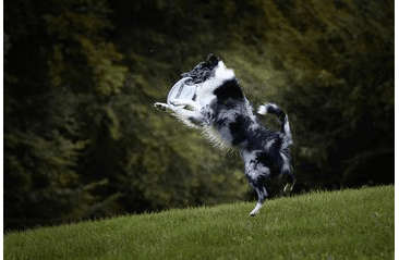 AMINELA FRISBEE FASTBACK FLEX LIGHT BLUE