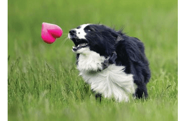 RUFF DAWG NEZNIČITEĽNÁ HRAČKA PRE PSOV SRDCE 10,16CM