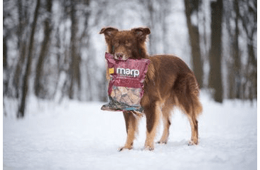 MARP TREATS BUFFALO CRUNCHIES - SUŠENÁ PRIEDUŠNICE 500G