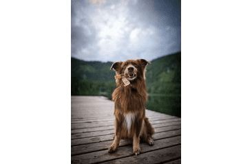 MARP HOLISTIC - HORSKÁ TYČINKA XL (110 - 119G)