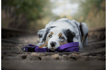 AMINELA OBOJOK 25MM/40-65CM FIALOVÝ