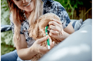 VET'S BEST KEFKA NA ZUBY S 3 HLAVICAMI