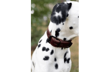 BAFPET OBOJEK HERRY, OBŠITÝ, ČERNÉ KOVÁNÍ - BORDÓ