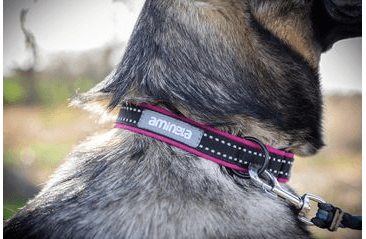 AMINELA KLASIK OBOJOK SPORT & CITY 35-70CM, MALINOVÁ/ČIERNA