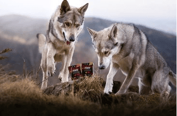 MARP HOLISTIC MORKA S KAČICOU TETRAPAK 375G EXP 3/2026 1 + 1 ZADARMO