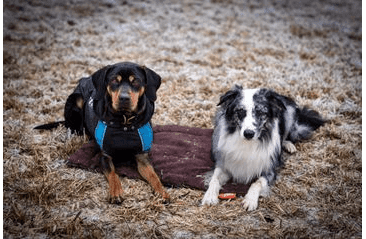 AMINELA PODLOŽKA S OBALOM 80X60 HNEDÁ