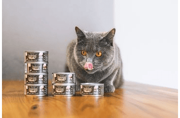 MARP SALMON FILET KONZERVA PRE MAČKY S FILETY Z LOSOSA 70G