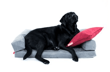 Aminela  pelech s okrajom 100x70cm Half and Half sivá/sivá 