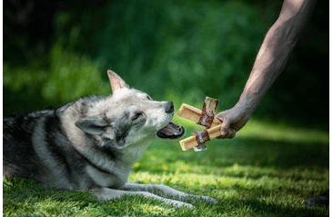 MARP HOLISTIC - HORSKÁ TYČINKA XL (110 - 119G)