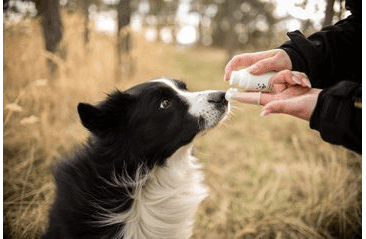 ARPALIT® CARE ZUBNÁ PASTA S RASTLINNÝMI ZLOŽKAMI 50ML